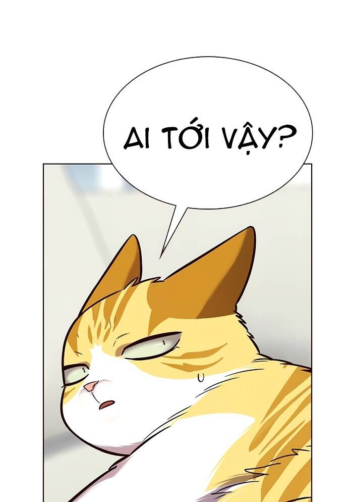 Hoá Thân Thành Mèo - Chapter 188 - Page 3