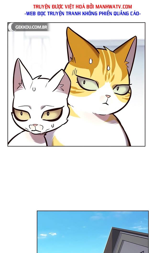 Hoá Thân Thành Mèo - Chapter 188 - Page 34