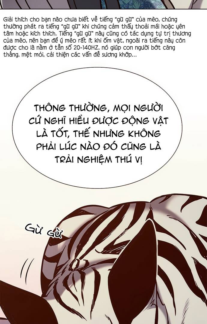 Hoá Thân Thành Mèo - Chapter 188 - Page 87
