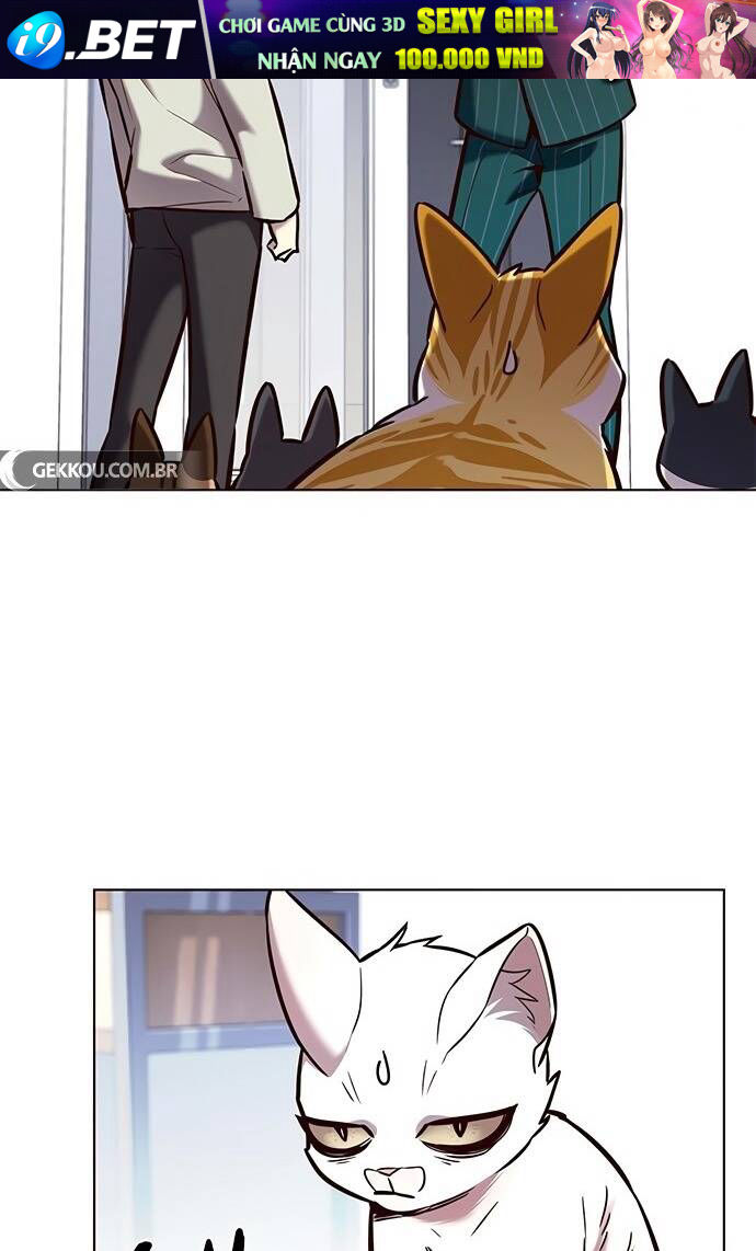 Hoá Thân Thành Mèo - Chapter 189 - Page 53