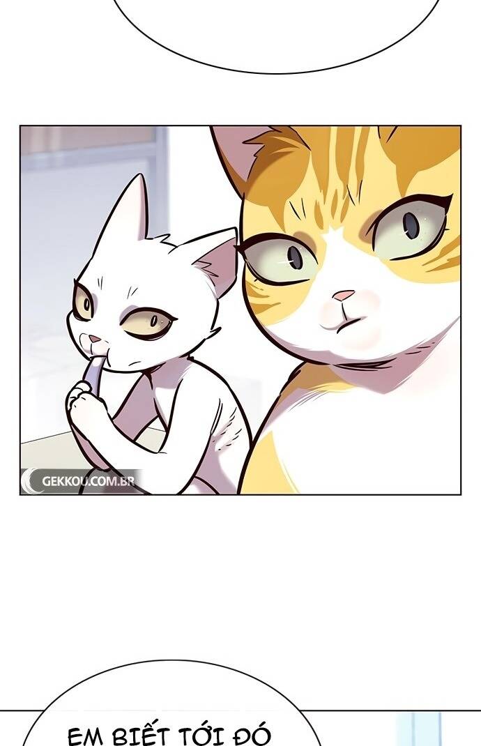 Hoá Thân Thành Mèo - Chapter 189 - Page 57