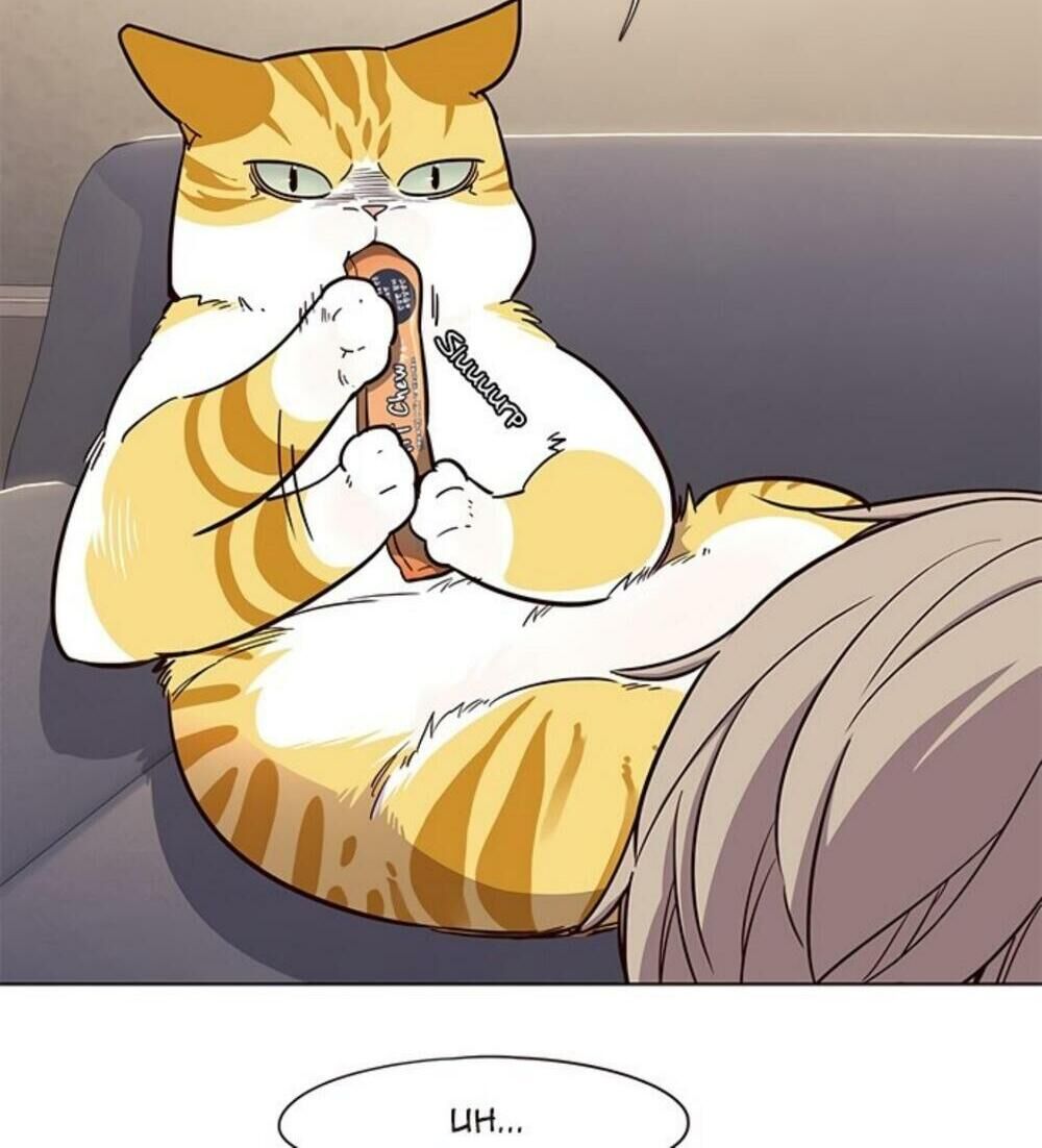 Hoá Thân Thành Mèo - Chapter 19 - Page 30