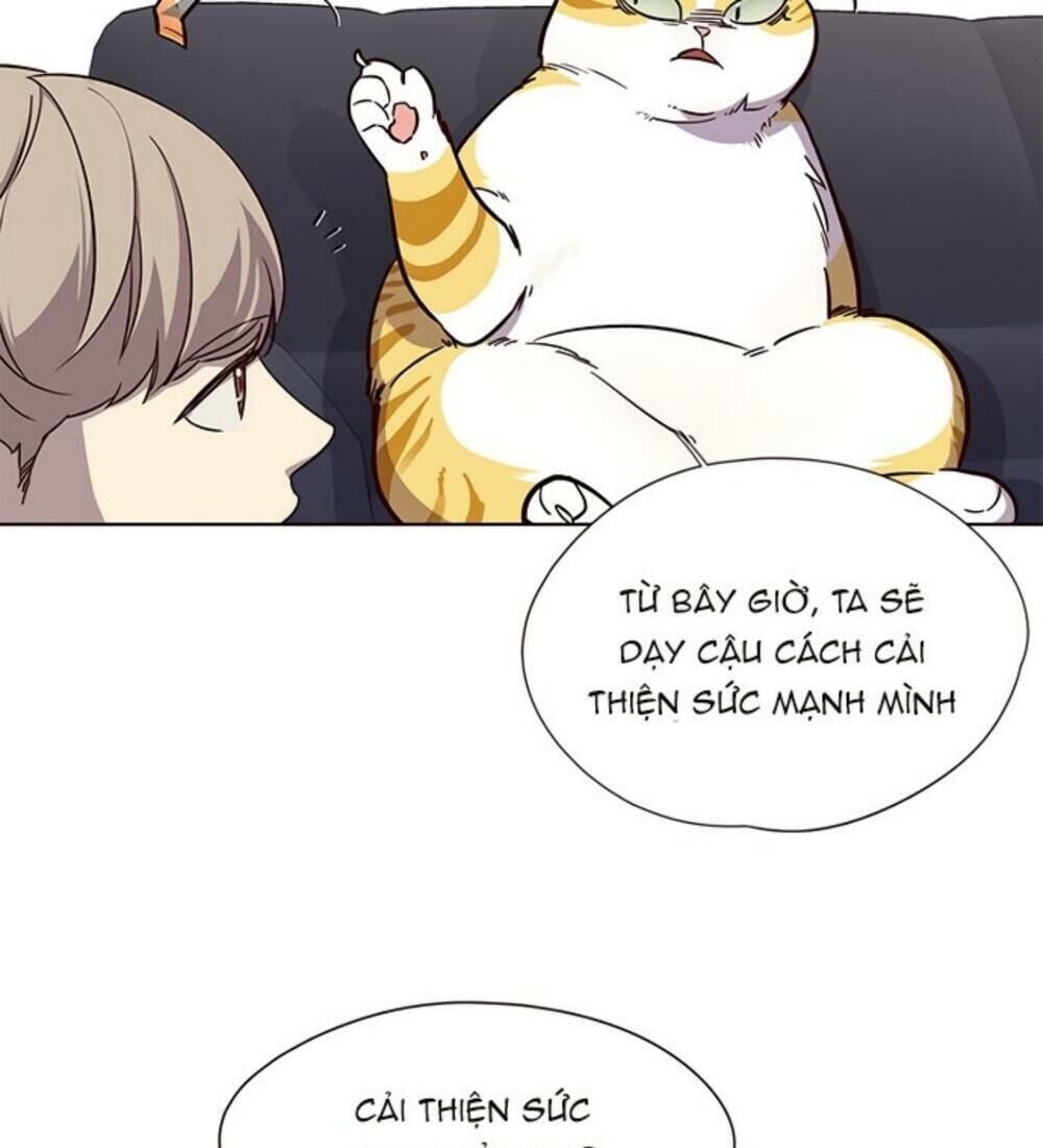 Hoá Thân Thành Mèo - Chapter 19 - Page 41