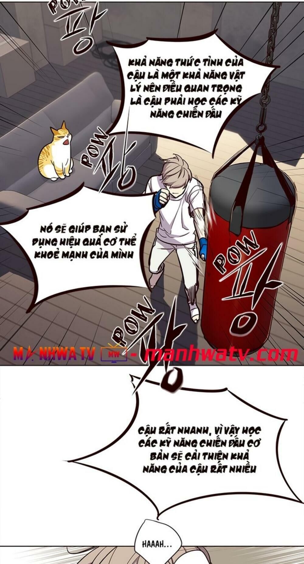 Hoá Thân Thành Mèo - Chapter 19 - Page 50