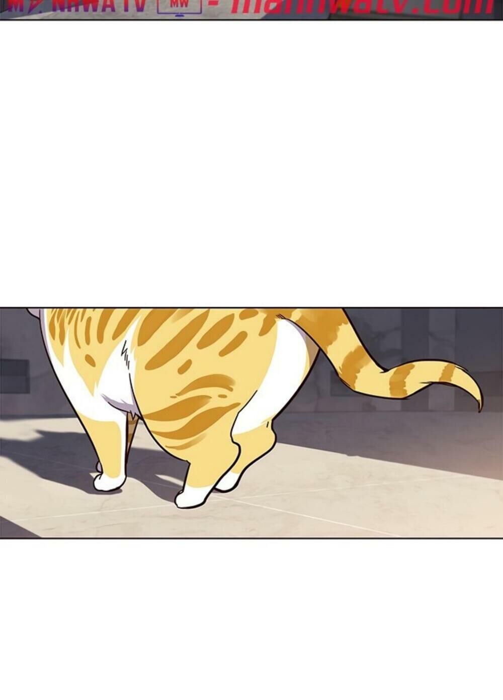 Hoá Thân Thành Mèo - Chapter 19 - Page 79