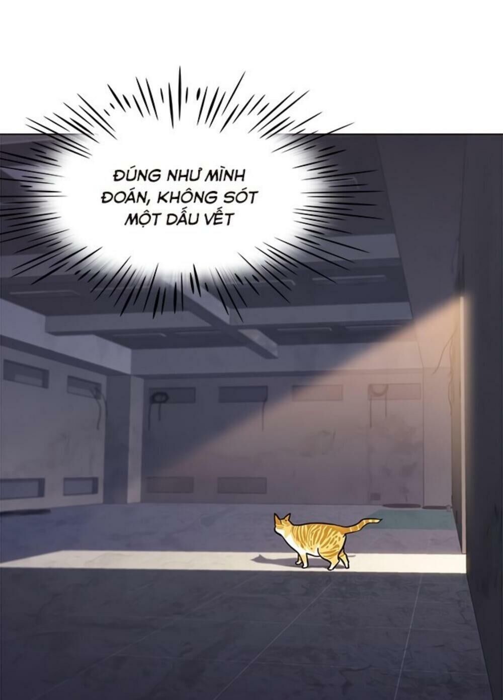 Hoá Thân Thành Mèo - Chapter 19 - Page 80