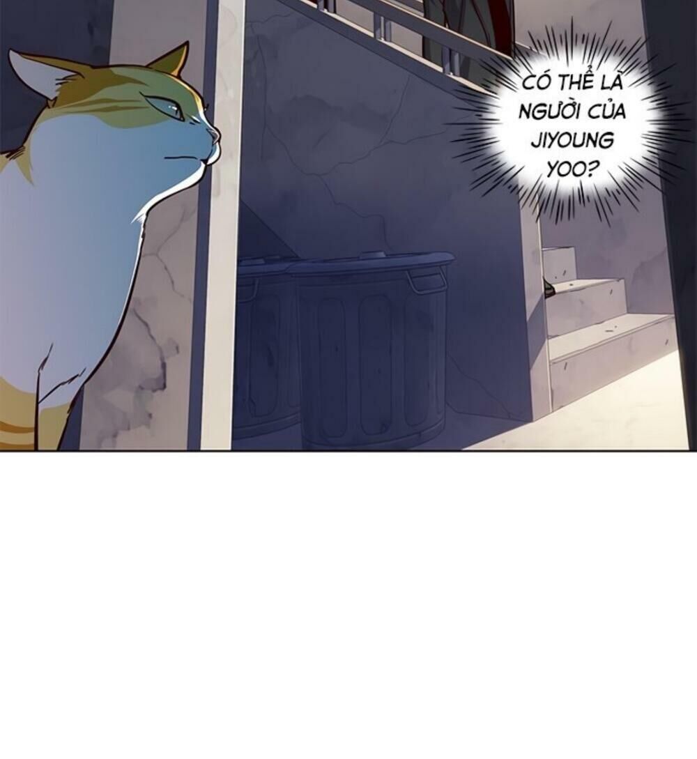 Hoá Thân Thành Mèo - Chapter 19 - Page 86