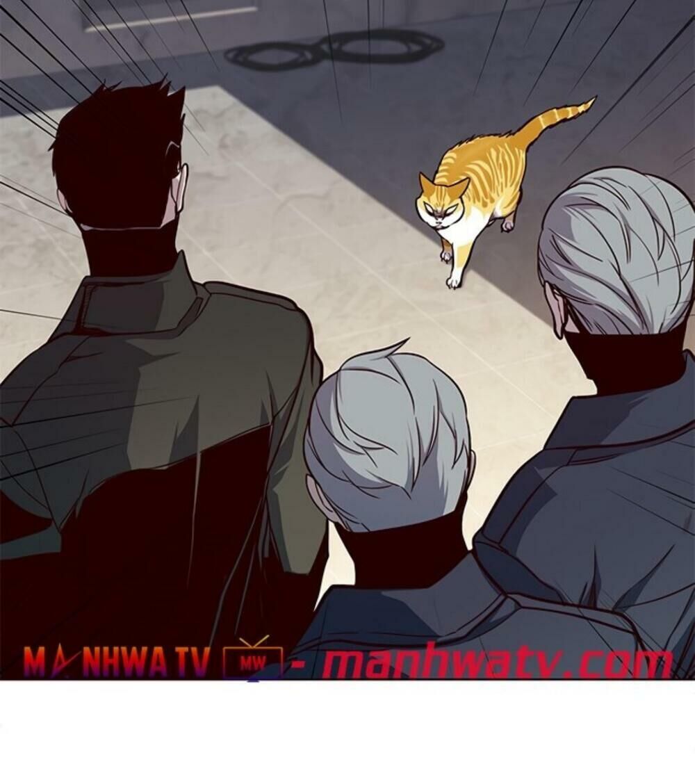 Hoá Thân Thành Mèo - Chapter 19 - Page 91