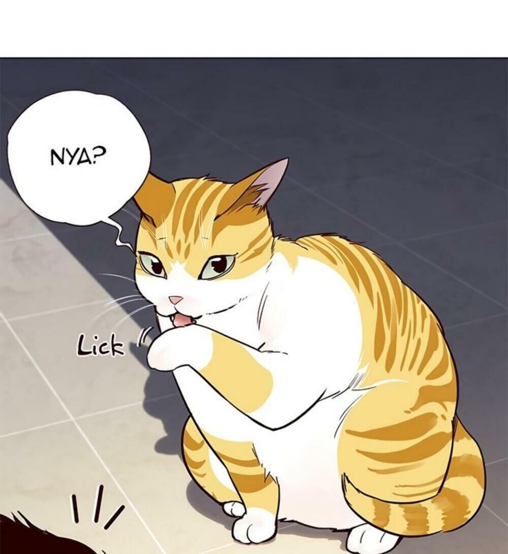 Hoá Thân Thành Mèo - Chapter 19 - Page 97