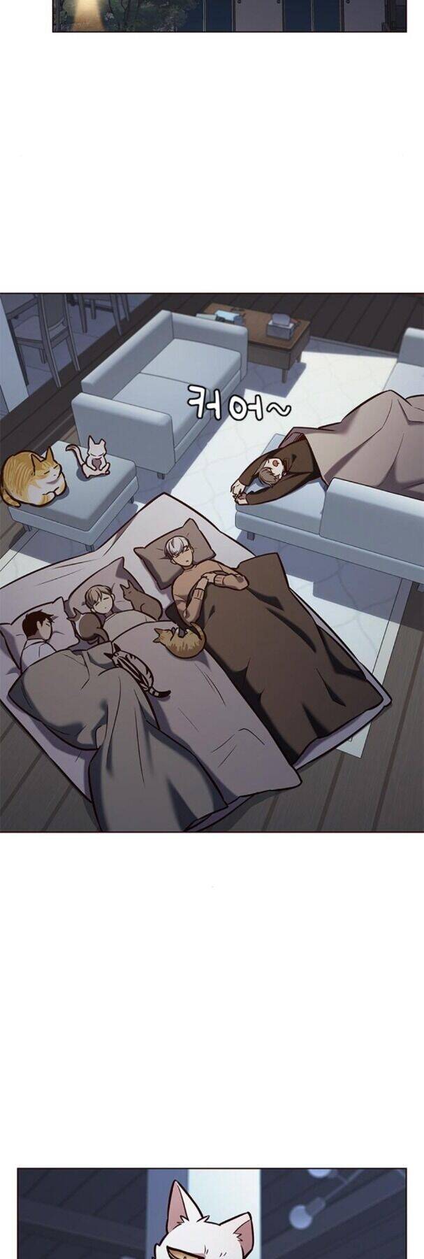 Hoá Thân Thành Mèo - Chapter 190 - Page 18