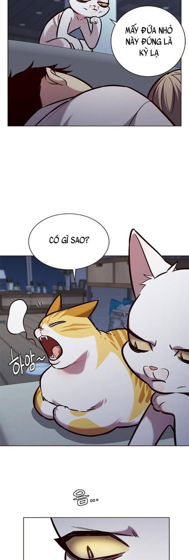 Hoá Thân Thành Mèo - Chapter 190 - Page 19