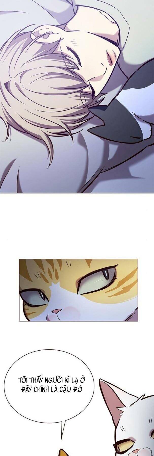 Hoá Thân Thành Mèo - Chapter 190 - Page 25