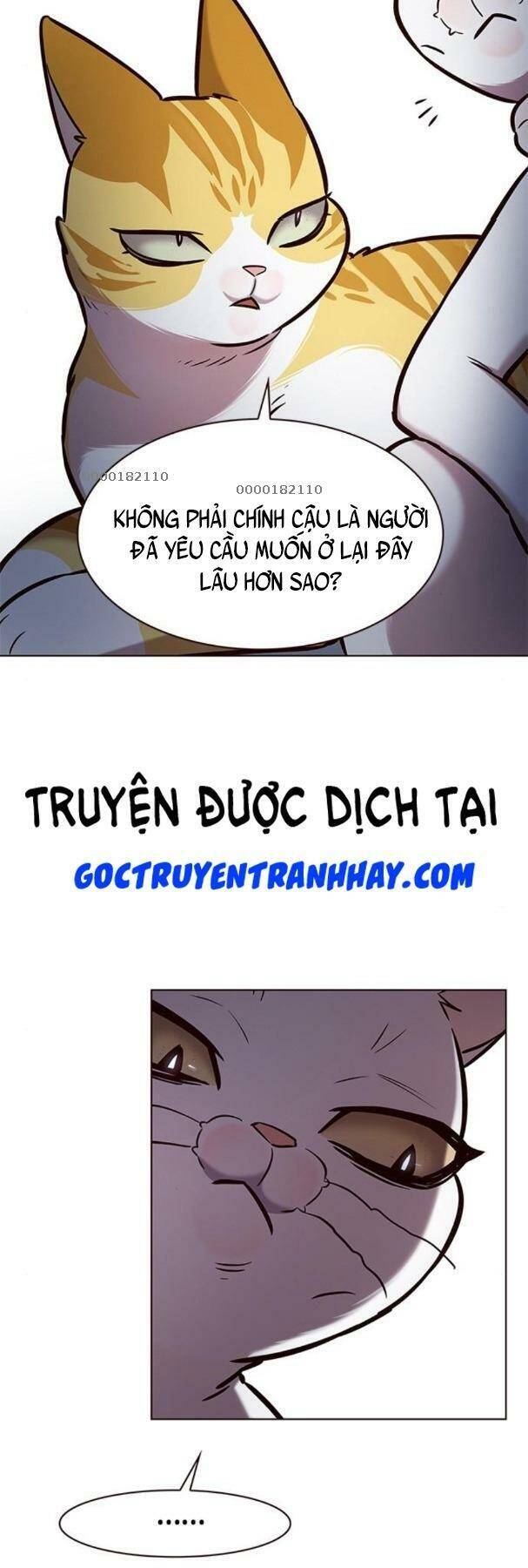 Hoá Thân Thành Mèo - Chapter 190 - Page 26