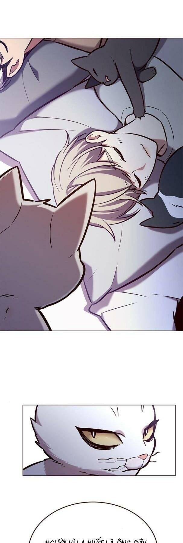 Hoá Thân Thành Mèo - Chapter 190 - Page 27