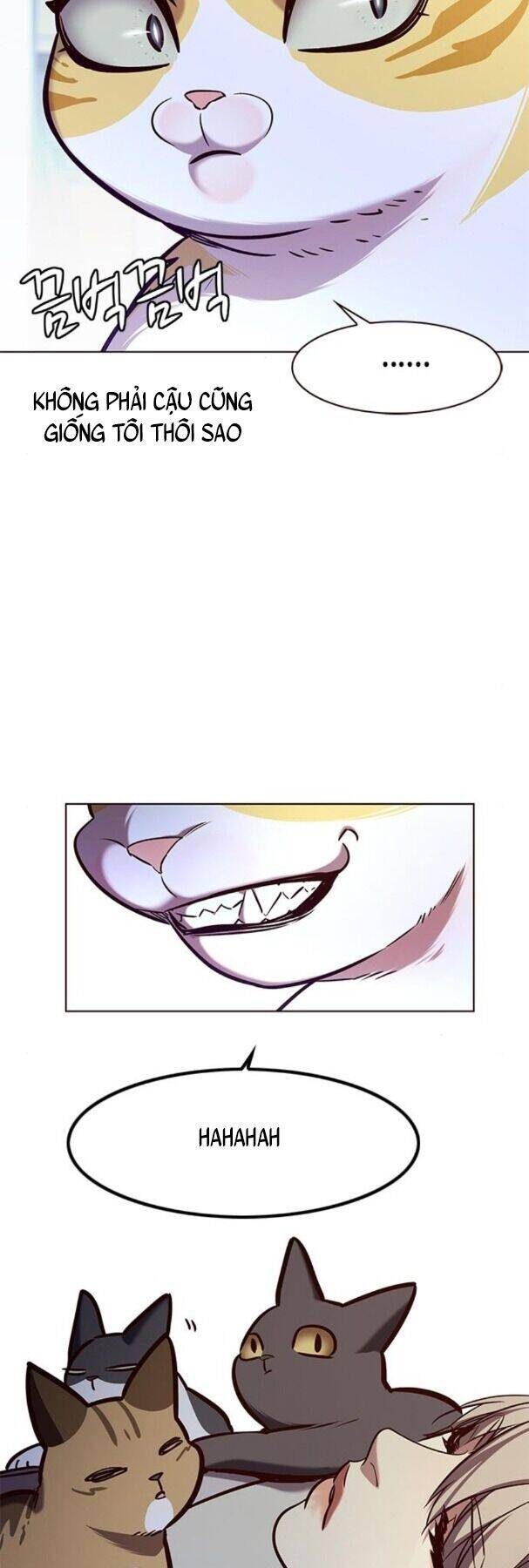 Hoá Thân Thành Mèo - Chapter 190 - Page 29