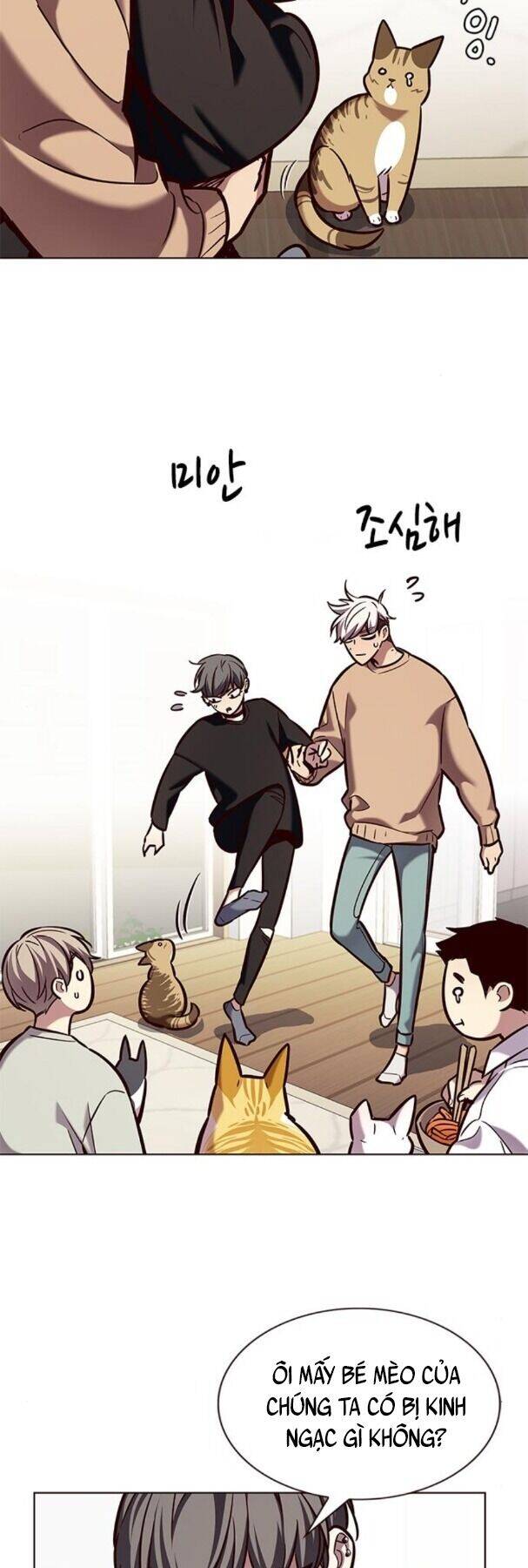 Hoá Thân Thành Mèo - Chapter 190 - Page 6
