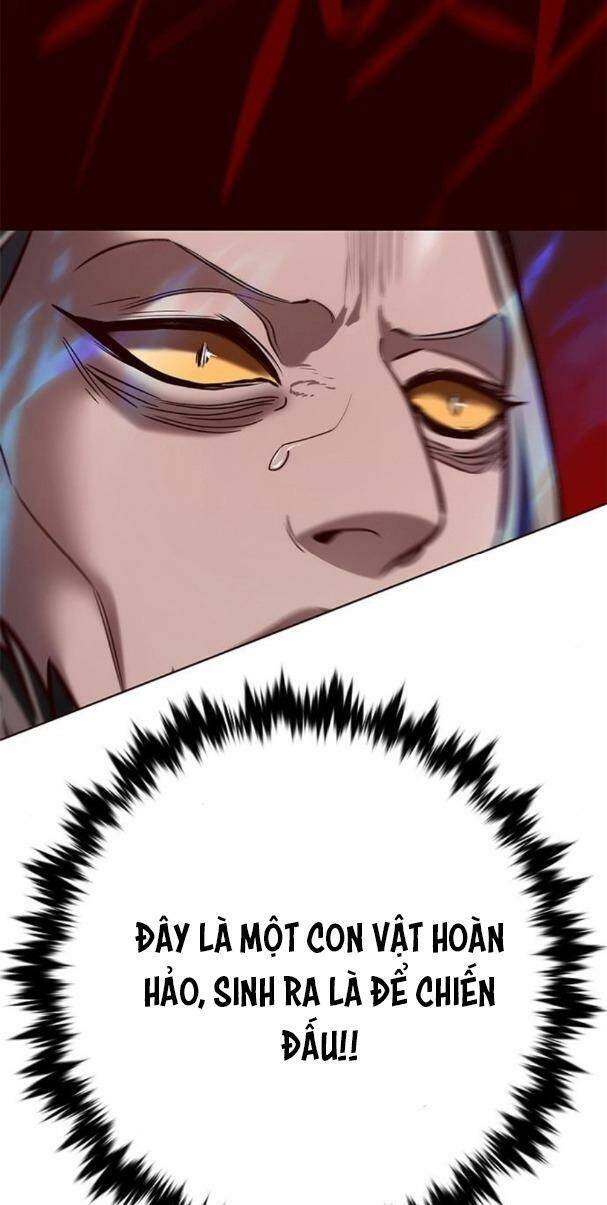 Hoá Thân Thành Mèo - Chapter 195 - Page 55
