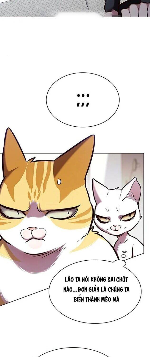 Hoá Thân Thành Mèo - Chapter 196 - Page 12