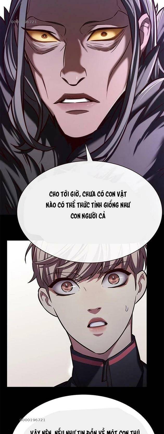 Hoá Thân Thành Mèo - Chapter 196 - Page 14