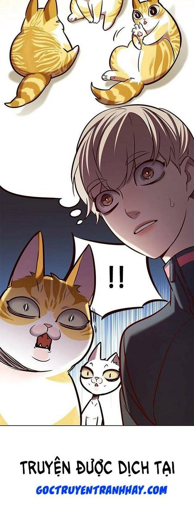 Hoá Thân Thành Mèo - Chapter 196 - Page 31