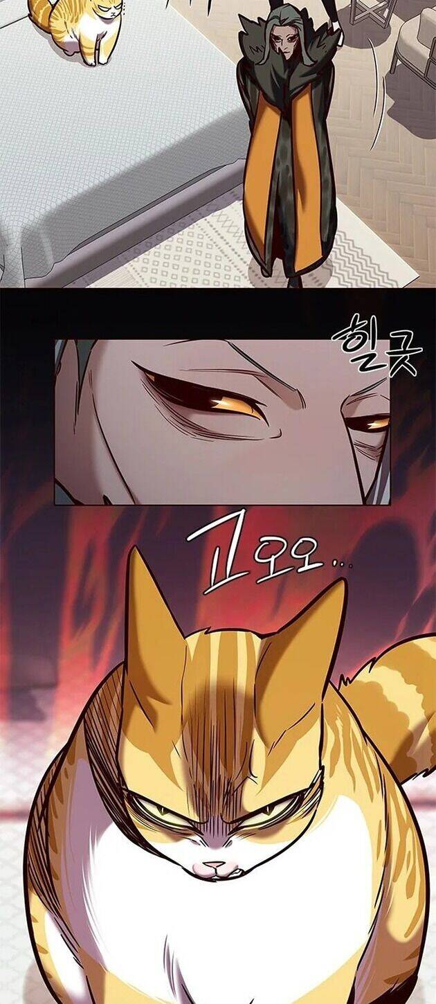 Hoá Thân Thành Mèo - Chapter 196 - Page 34