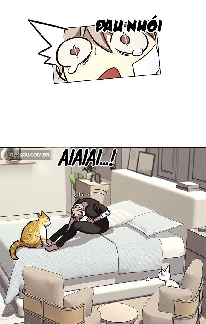 Hoá Thân Thành Mèo - Chapter 199 - Page 63