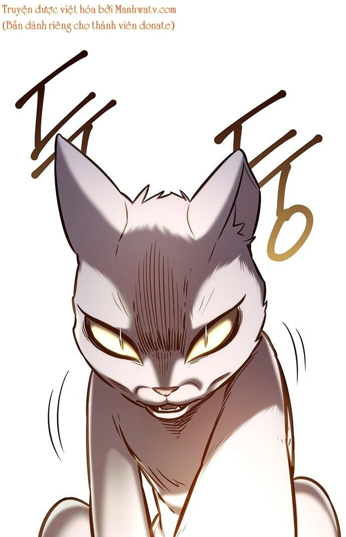 Hoá Thân Thành Mèo - Chapter 199 - Page 72