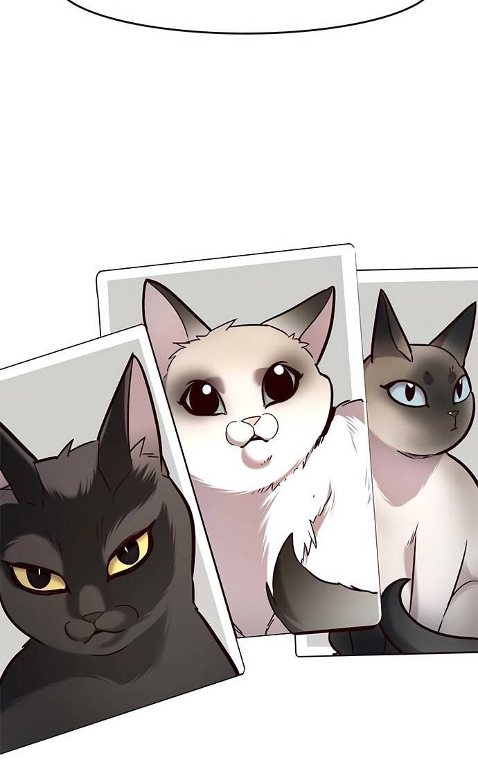 Hoá Thân Thành Mèo - Chapter 199 - Page 91