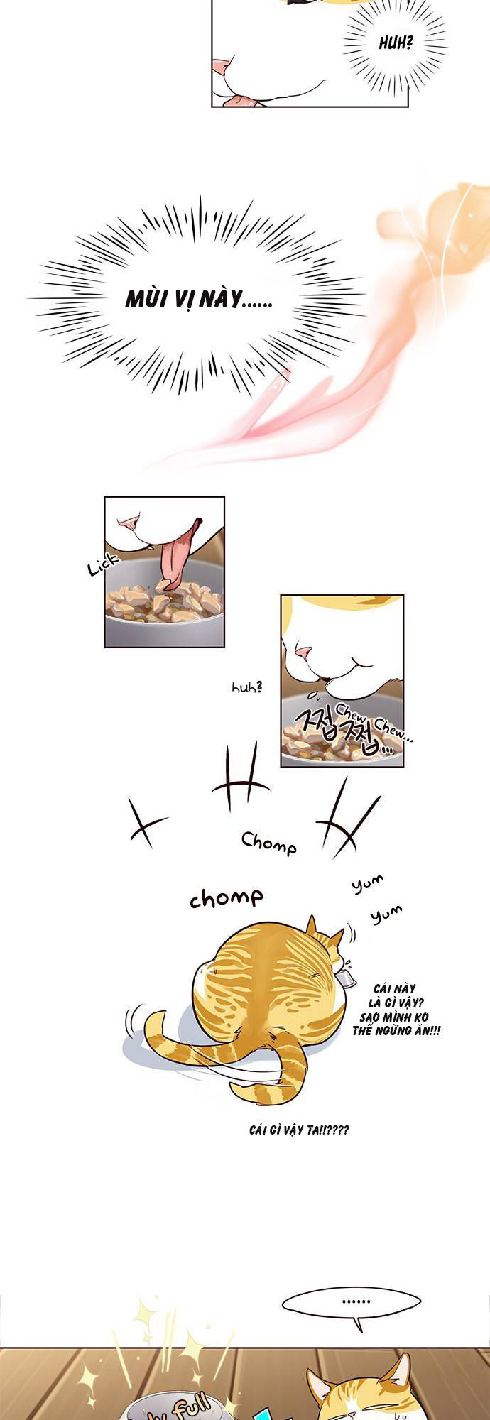 Hoá Thân Thành Mèo - Chapter 2 - Page 12