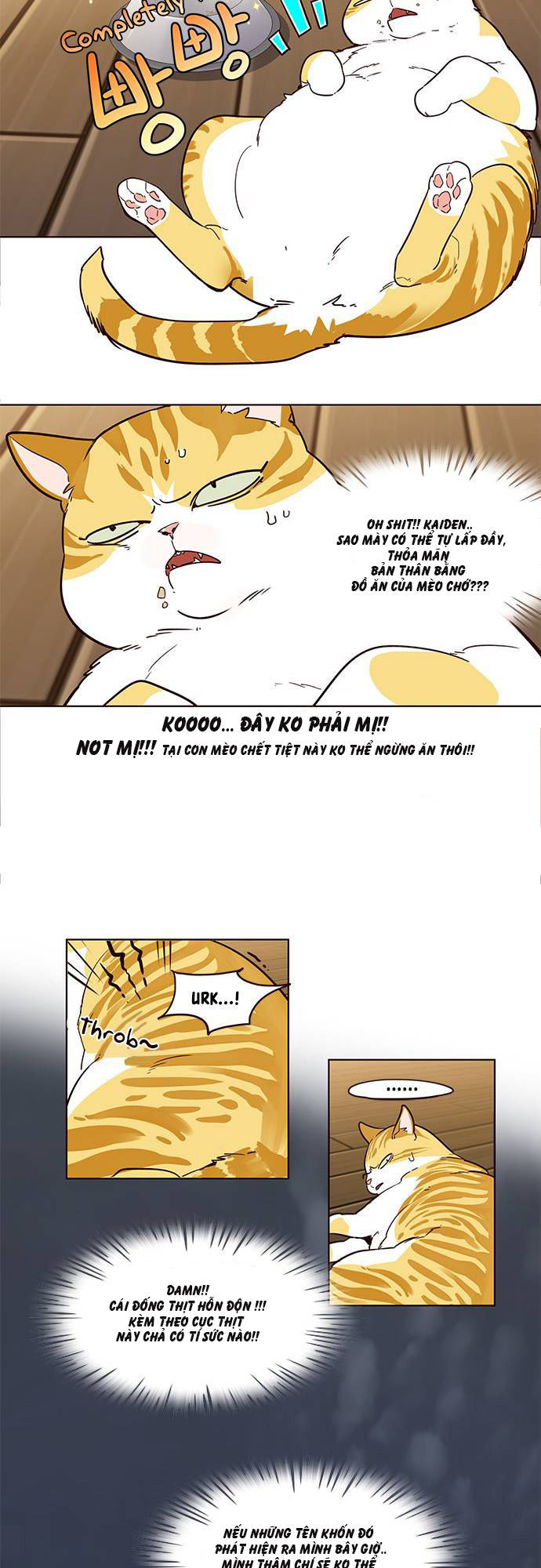Hoá Thân Thành Mèo - Chapter 2 - Page 13