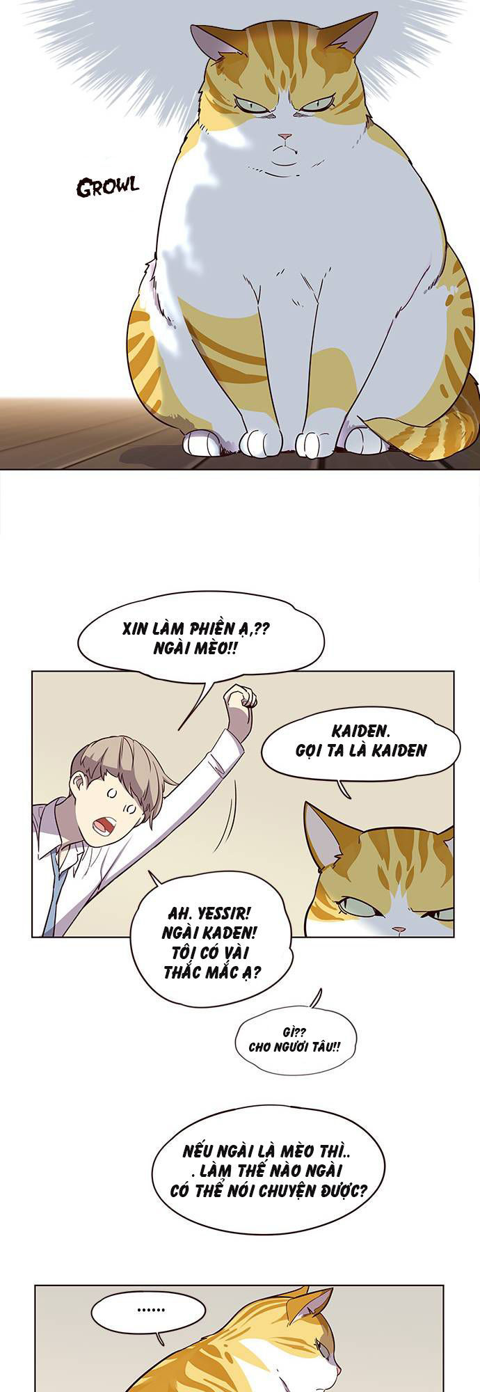 Hoá Thân Thành Mèo - Chapter 2 - Page 5