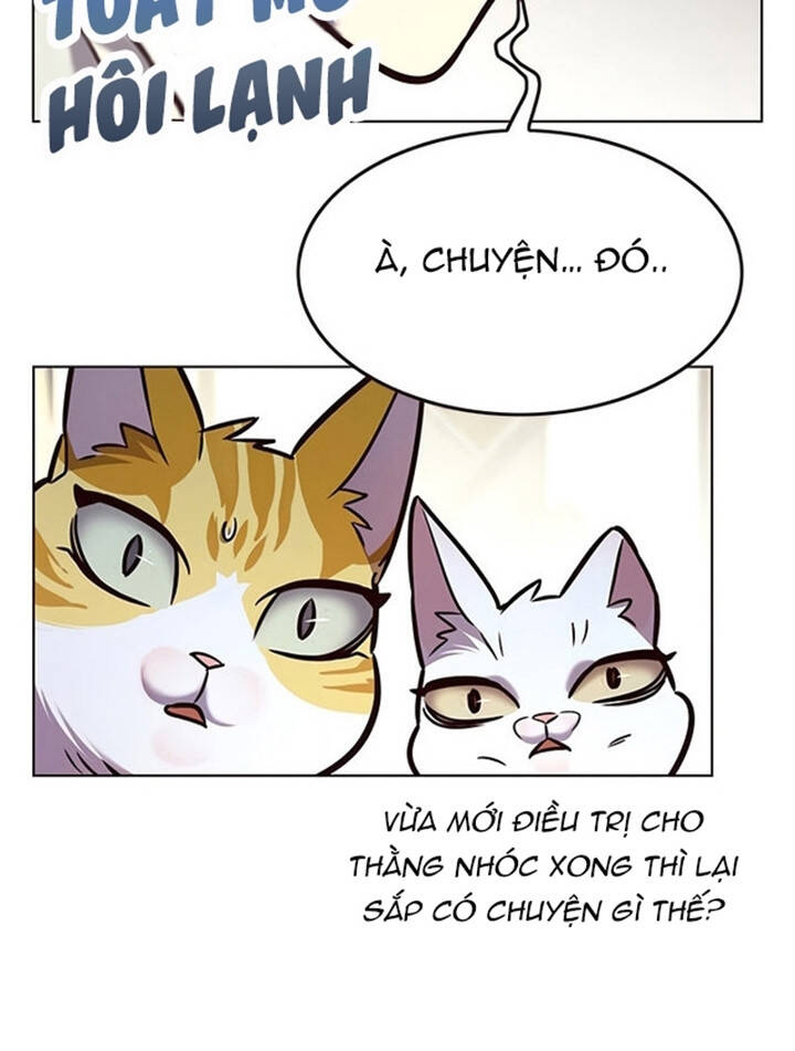 Hoá Thân Thành Mèo - Chapter 200 - Page 61