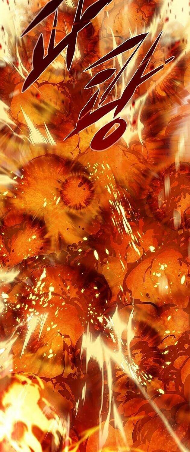 Hoá Thân Thành Mèo - Chapter 204 - Page 49