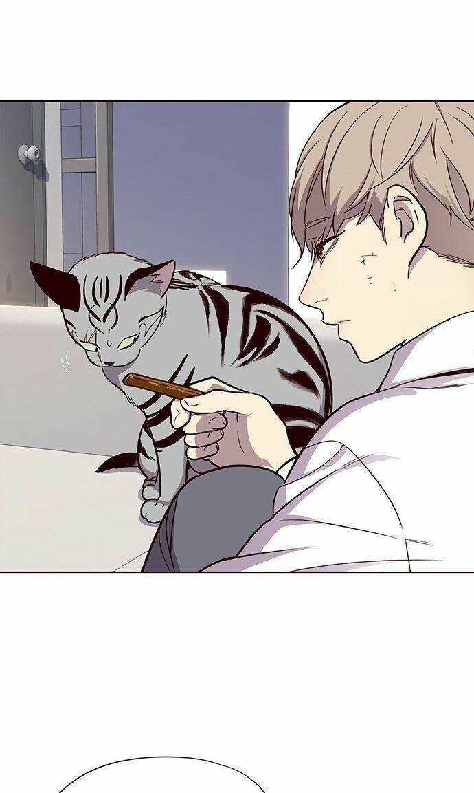 Hoá Thân Thành Mèo - Chapter 21 - Page 23