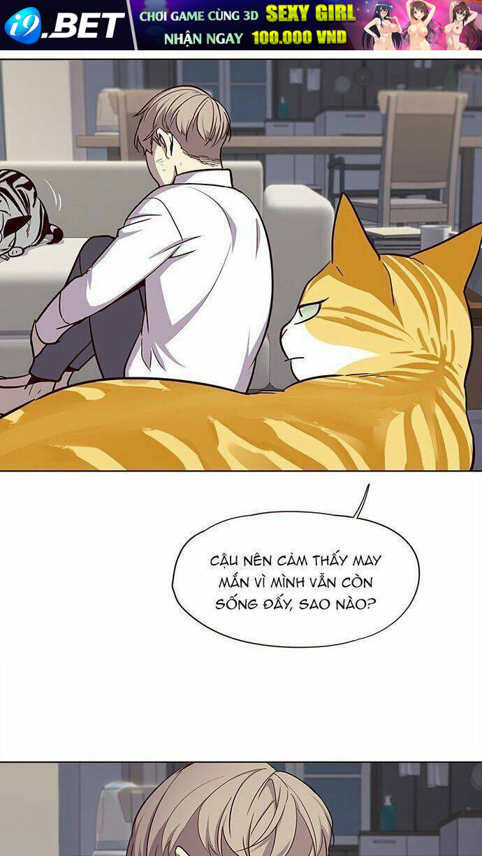 Hoá Thân Thành Mèo - Chapter 21 - Page 33