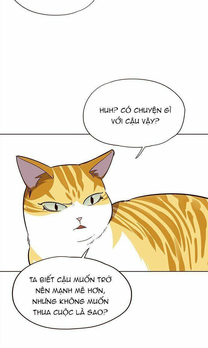 Hoá Thân Thành Mèo - Chapter 21 - Page 35