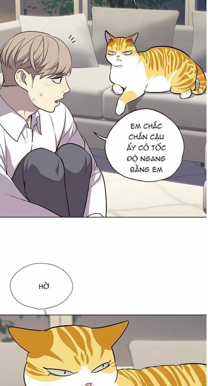 Hoá Thân Thành Mèo - Chapter 21 - Page 42