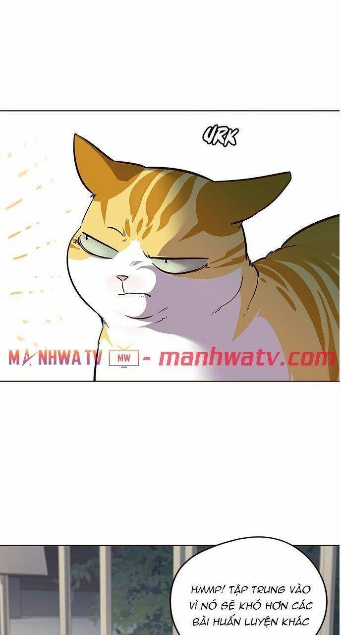 Hoá Thân Thành Mèo - Chapter 21 - Page 54