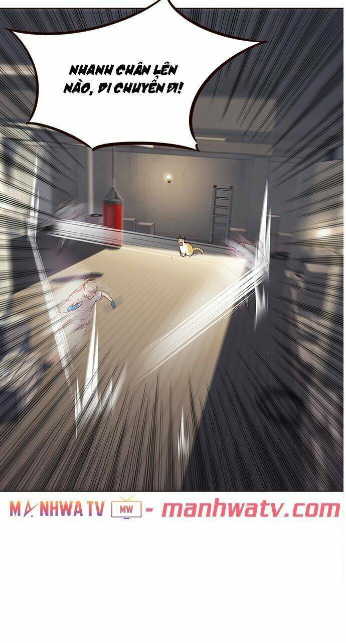 Hoá Thân Thành Mèo - Chapter 21 - Page 60