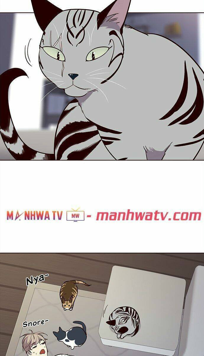 Hoá Thân Thành Mèo - Chapter 21 - Page 65