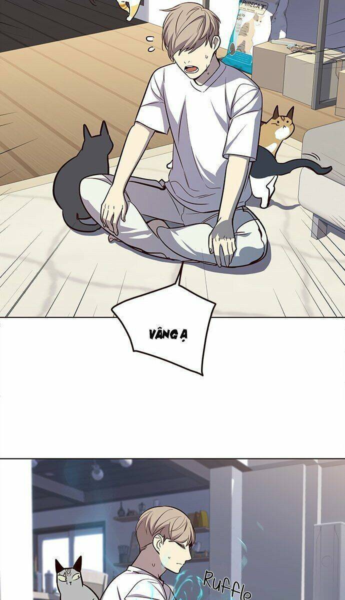 Hoá Thân Thành Mèo - Chapter 21 - Page 68