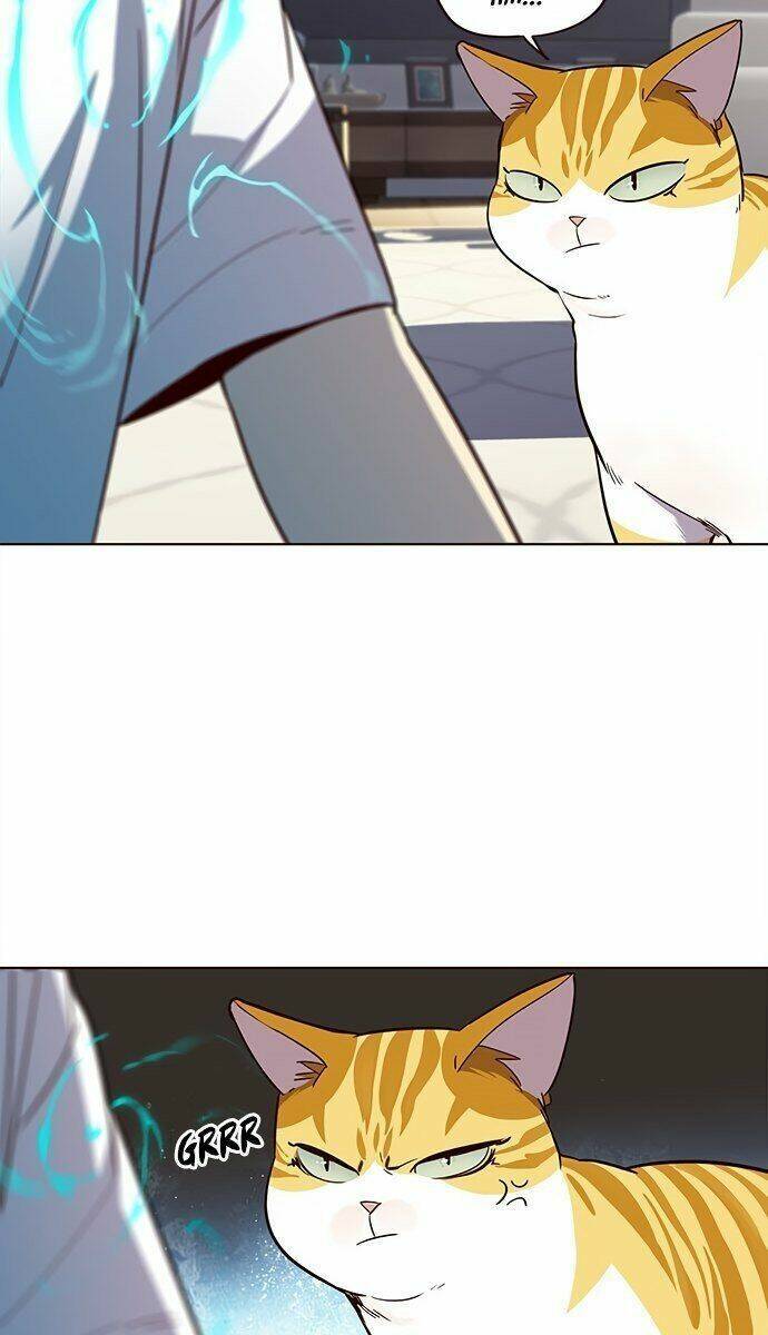 Hoá Thân Thành Mèo - Chapter 21 - Page 70