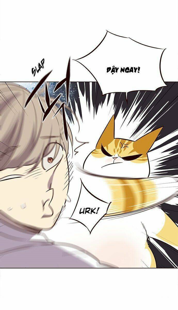 Hoá Thân Thành Mèo - Chapter 21 - Page 72