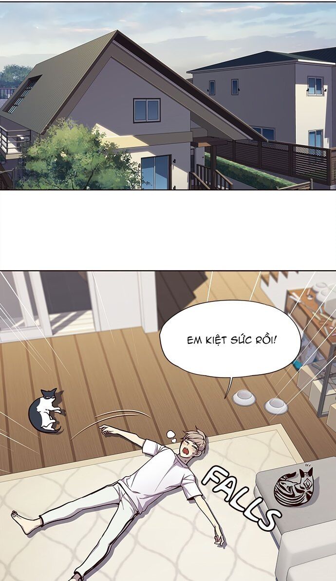 Hoá Thân Thành Mèo - Chapter 22 - Page 11