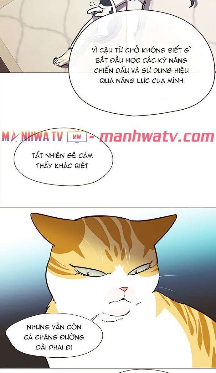 Hoá Thân Thành Mèo - Chapter 22 - Page 16