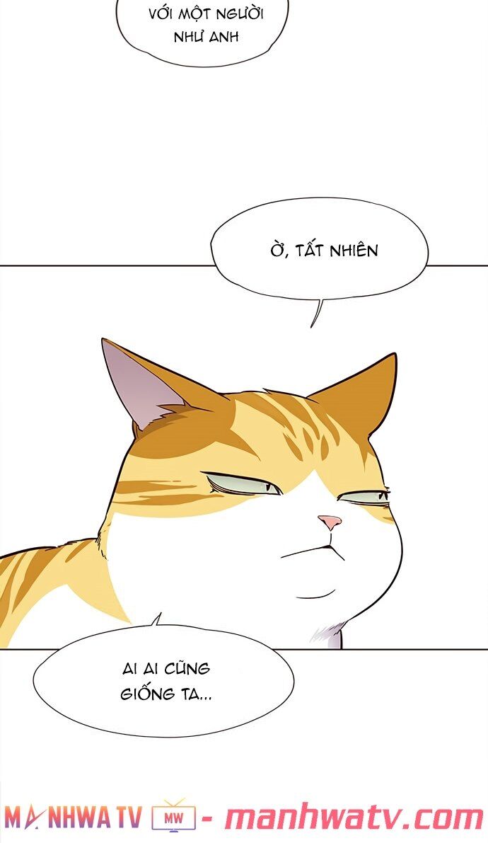 Hoá Thân Thành Mèo - Chapter 22 - Page 18