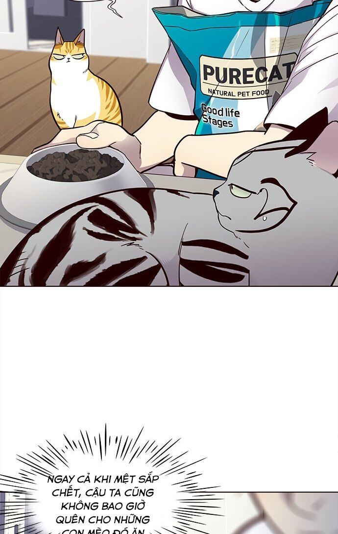 Hoá Thân Thành Mèo - Chapter 22 - Page 25
