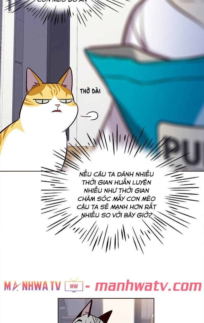 Hoá Thân Thành Mèo - Chapter 22 - Page 26