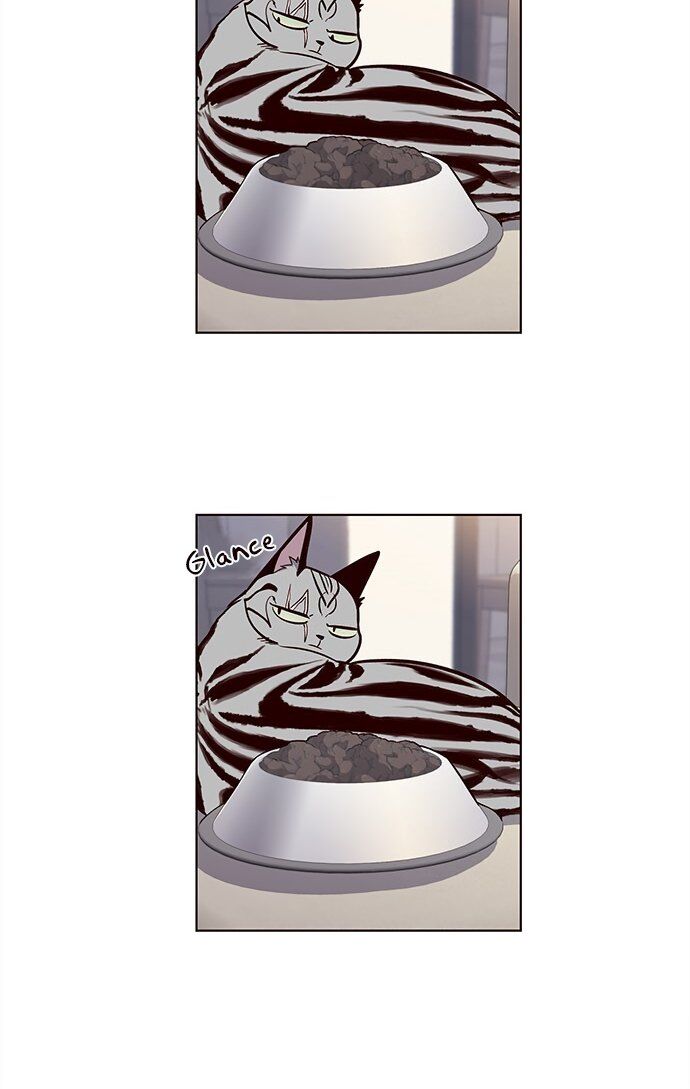 Hoá Thân Thành Mèo - Chapter 22 - Page 27