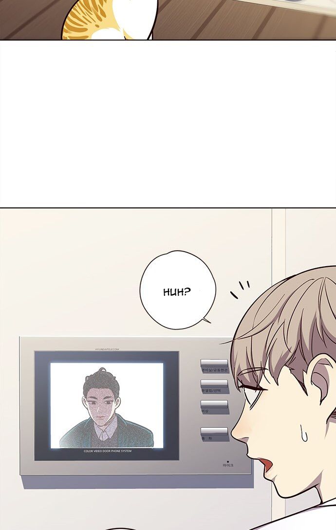 Hoá Thân Thành Mèo - Chapter 22 - Page 31